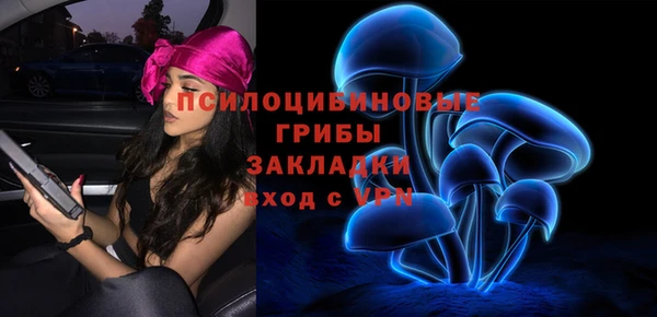 гидра Алзамай