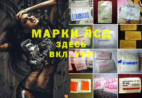 гидра Алзамай