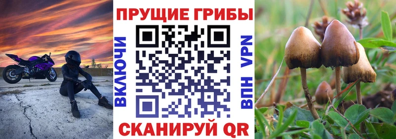 Галлюциногенные грибы мухоморы закладка Крымск